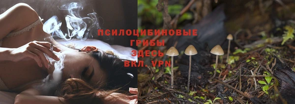 шишки Саяногорск