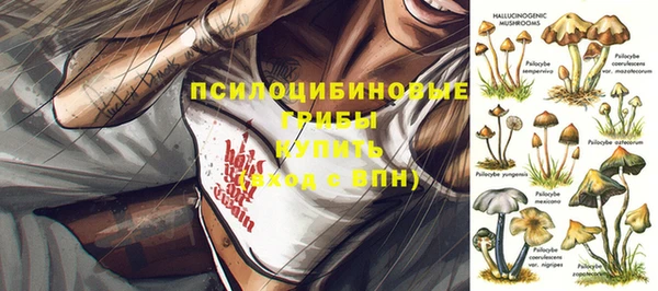 jwh Сатка