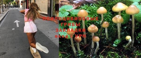 дмт Алзамай