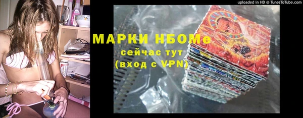 метадон Алексин