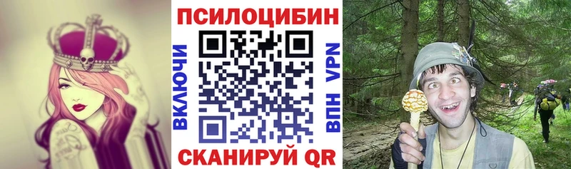дарнет шоп  Берёзовка  blacksprut вход  Галлюциногенные грибы Magic Shrooms 