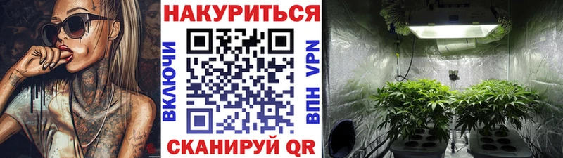 Конопля семена купить сайты Берёзовка